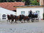 150 Jahre St. Gallische Pferdeversicherungs-Genossenschaft