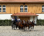 150 Jahre St. Gallische Pferdeversicherungs-Genossenschaft